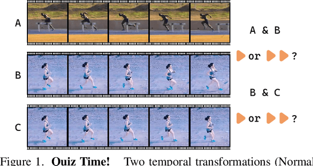 Figure 1 for TransRank: Self-supervised Video Representation Learning via Ranking-based Transformation Recognition