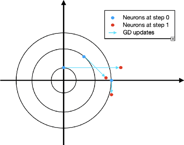Figure 3 for A Riemannian Mean Field Formulation for Two-layer Neural Networks with Batch Normalization