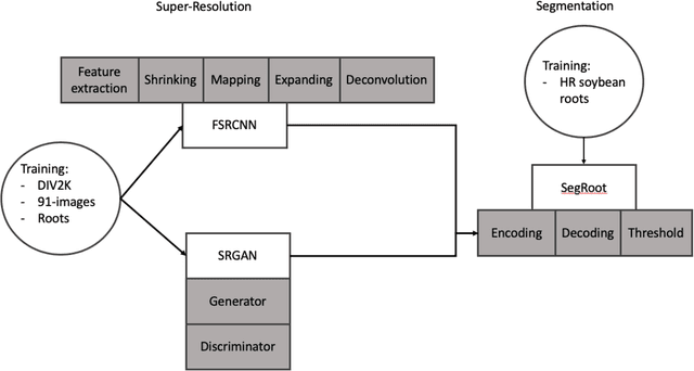 Figure 3 for Super Resolution for Root Imaging