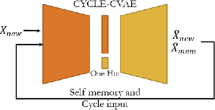 Figure 4 for Lifelong Learning Process: Self-Memory Supervising and Dynamically Growing Networks