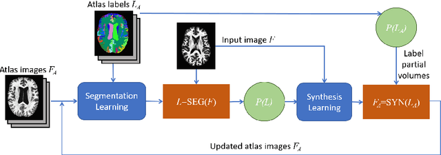 Figure 1 for Contrast Adaptive Tissue Classification by Alternating Segmentation and Synthesis