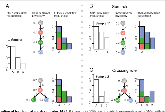 Figure 1 for Inferring clonal evolution of tumors from single nucleotide somatic mutations
