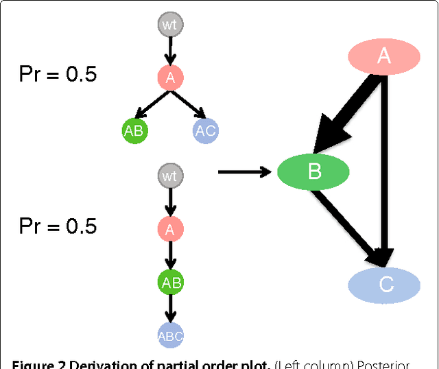 Figure 3 for Inferring clonal evolution of tumors from single nucleotide somatic mutations