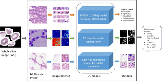 Figure 1 for Microscopic Nuclei Classification, Segmentation and Detection with improved Deep Convolutional Neural Network (DCNN) Approaches