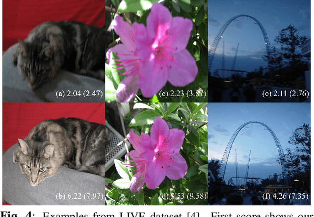 Figure 4 for Rank-smoothed Pairwise Learning In Perceptual Quality Assessment