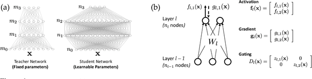 Figure 1 for Student Specialization in Deep ReLU Networks With Finite Width and Input Dimension