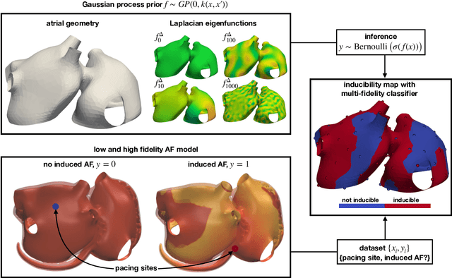Figure 1 for Fast characterization of inducible regions of atrial fibrillation models with multi-fidelity Gaussian process classification