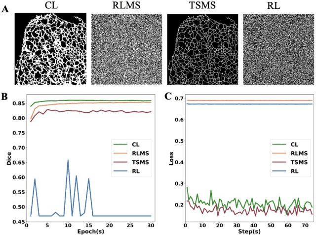 Figure 1 for Deep Neural Networks Learn Meta-Structures to Segment Fluorescence Microscopy Images