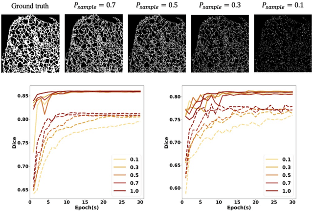 Figure 3 for Deep Neural Networks Learn Meta-Structures to Segment Fluorescence Microscopy Images