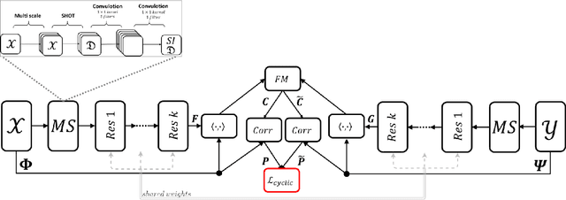 Figure 4 for Cyclic Functional Mapping: Self-supervised correspondence between non-isometric deformable shapes