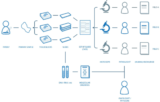 Figure 2 for Towards the Augmented Pathologist: Challenges of Explainable-AI in Digital Pathology