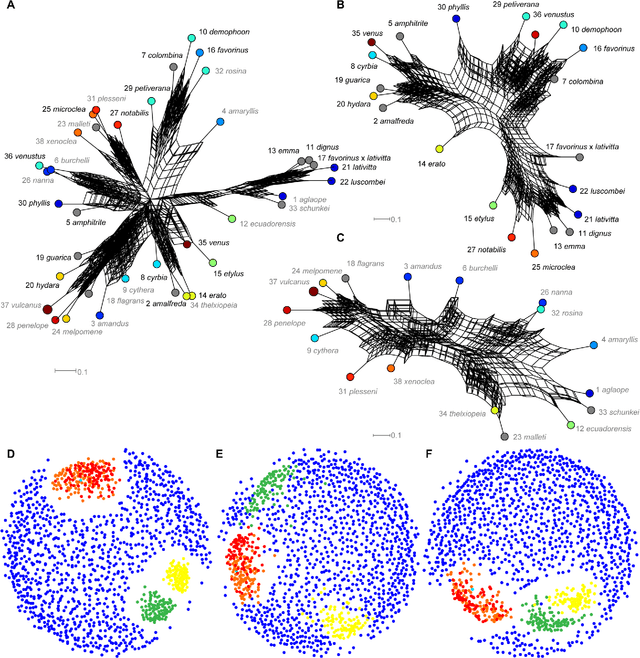 Figure 1 for Deep learning on butterfly phenotypes tests evolution's oldest mathematical model