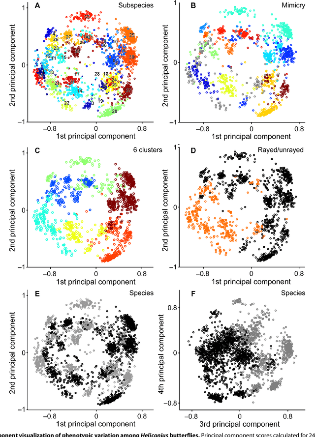 Figure 3 for Deep learning on butterfly phenotypes tests evolution's oldest mathematical model