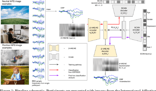 Figure 1 for Representation learning for improved interpretability and classification accuracy of clinical factors from EEG