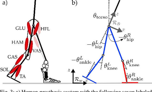 Figure 3 for Natural Multicontact Walking for Robotic Assistive Devices via Musculoskeletal Models and Hybrid Zero Dynamics