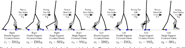 Figure 4 for Natural Multicontact Walking for Robotic Assistive Devices via Musculoskeletal Models and Hybrid Zero Dynamics