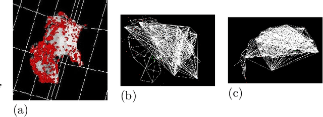 Figure 1 for Cross-modal registration using point clouds and graph-matching in the context of correlative microscopies