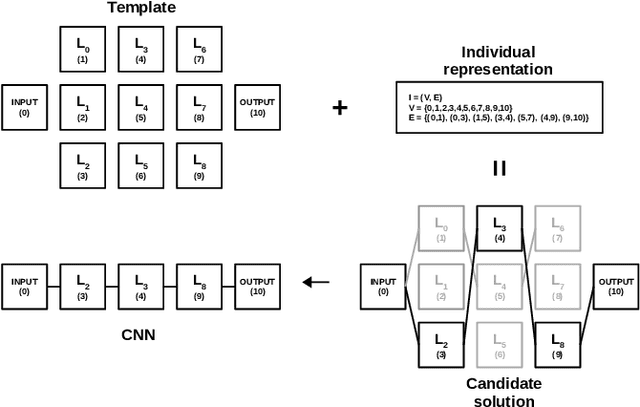 Figure 1 for Evolutionary Neural Architecture Search Supporting Approximate Multipliers