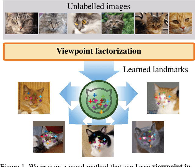 Figure 1 for Unsupervised learning of object landmarks by factorized spatial embeddings