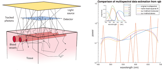 Figure 2 for Inference of Haemoglobin Concentration From Stereo RGB