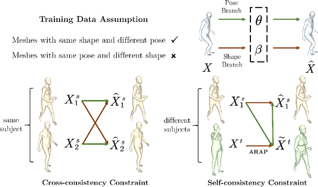 Figure 2 for Unsupervised Shape and Pose Disentanglement for 3D Meshes