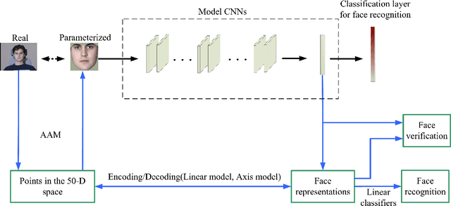 Figure 1 for Face representation by deep learning: a linear encoding in a parameter space?
