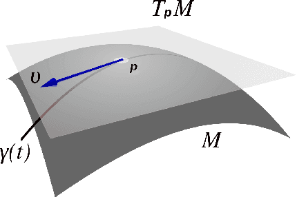 Figure 1 for Lagrangian Manifold Monte Carlo on Monge Patches
