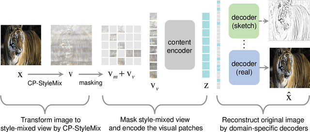 Figure 1 for Domain Invariant Masked Autoencoders for Self-supervised Learning from Multi-domains