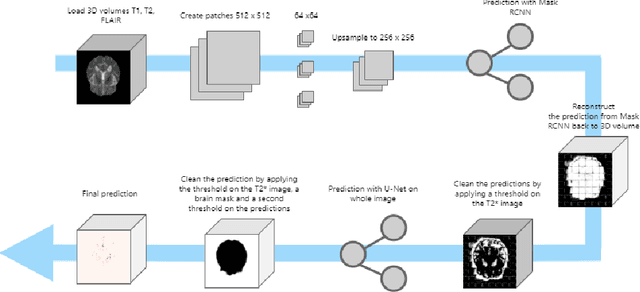 Figure 1 for MixMicrobleed: Multi-stage detection and segmentation of cerebral microbleeds