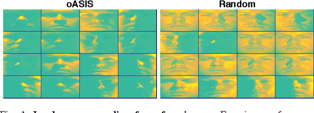 Figure 1 for Self-Expressive Decompositions for Matrix Approximation and Clustering