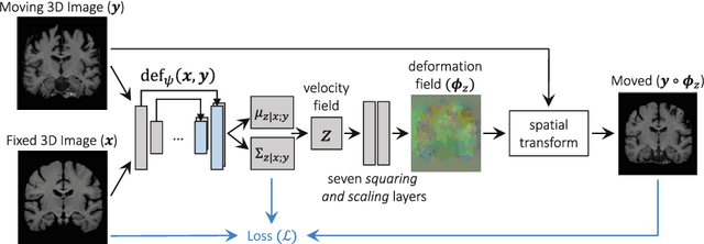 Figure 1 for Unsupervised Learning for Fast Probabilistic Diffeomorphic Registration