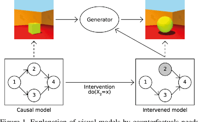 Figure 1 for Explaining Visual Models by Causal Attribution