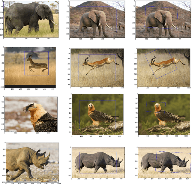 Figure 2 for Regression-Based Image Alignment for General Object Categories