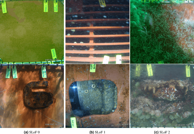 Figure 2 for Automating the assessment of biofouling in images using expert agreement as a gold standard