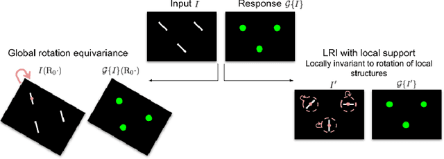 Figure 1 for Local Rotation Invariance in 3D CNNs
