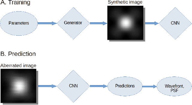 Figure 1 for Estimation of Optical Aberrations in 3D Microscopic Bioimages