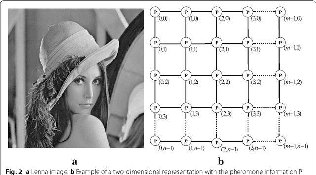 Figure 3 for Advances on image interpolation based on ant colony algorithm