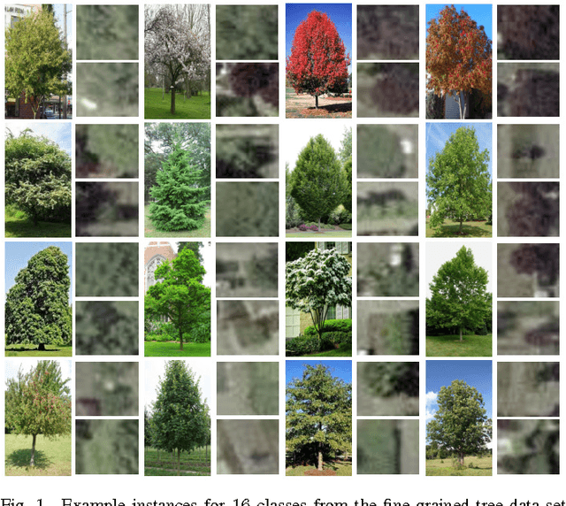 Figure 1 for Fine-Grained Object Recognition and Zero-Shot Learning in Remote Sensing Imagery