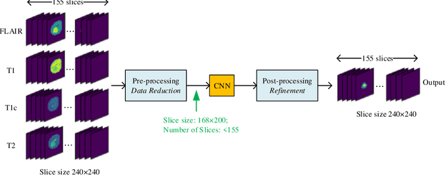 Figure 1 for A Computation-Efficient CNN System for High-Quality Brain Tumor Segmentation