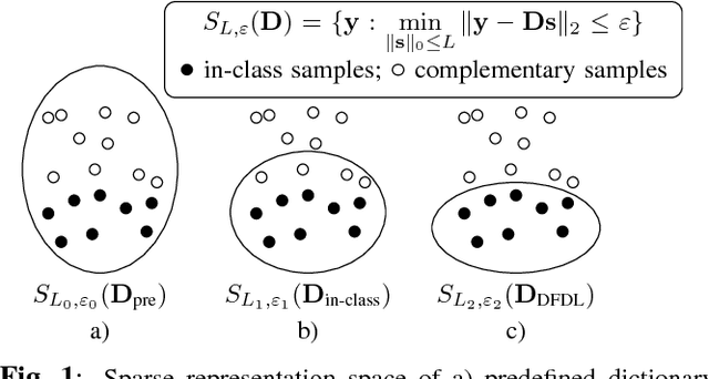 Figure 1 for DFDL: Discriminative Feature-oriented Dictionary Learning for Histopathological Image Classification