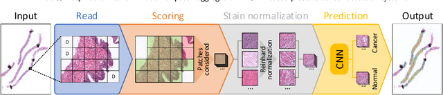 Figure 1 for Wide & Deep neural network model for patch aggregation in CNN-based prostate cancer detection systems