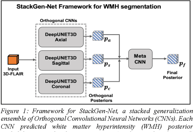 Figure 1 for White matter hyperintensities volume and cognition: Assessment of a deep learning based lesion detection and quantification algorithm on the Alzheimers Disease Neuroimaging Initiative