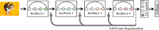 Figure 1 for Self-Feature Regularization: Self-Feature Distillation Without Teacher Models