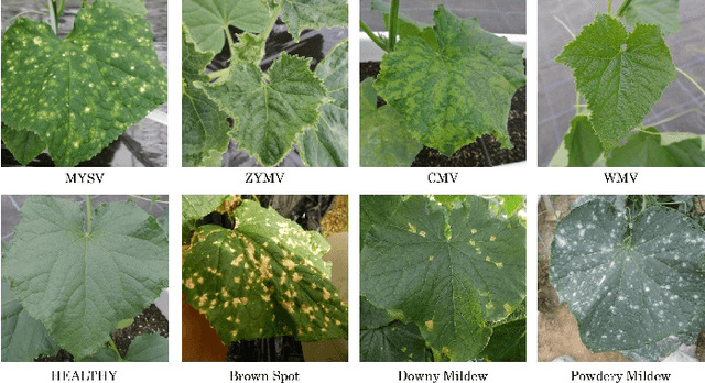 Figure 1 for AOP: An Anti-overfitting Pretreatment for Practical Image-based Plant Diagnosis