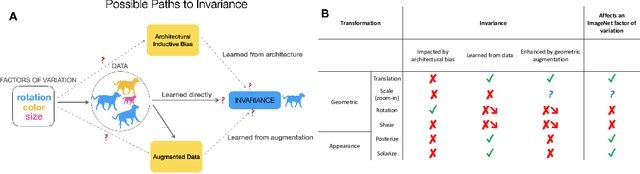 Figure 1 for Grounding inductive biases in natural images:invariance stems from variations in data
