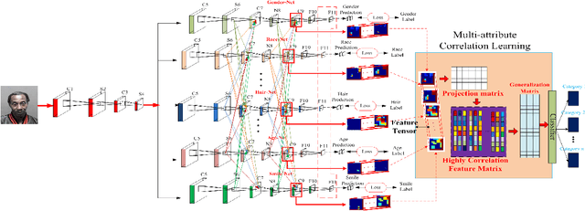 Figure 3 for A Novel Multi-Task Tensor Correlation Neural Network for Facial Attribute Prediction