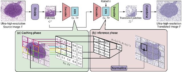 Figure 3 for Ultra-high-resolution unpaired stain transformation via Kernelized Instance Normalization