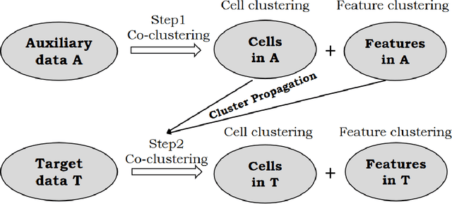 Figure 1 for Elastic Coupled Co-clustering for Single-Cell Genomic Data
