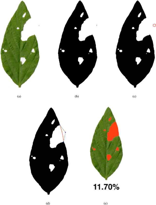 Figure 2 for BioLeaf: a professional mobile application to measure foliar damage caused by insect herbivory