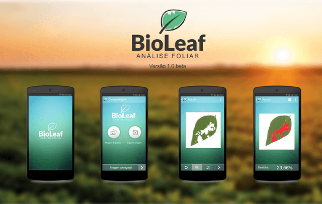 Figure 3 for BioLeaf: a professional mobile application to measure foliar damage caused by insect herbivory